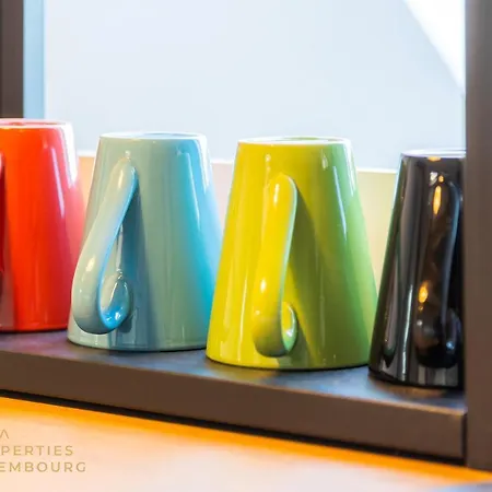 Stylish In Vibrant Bonnevoie