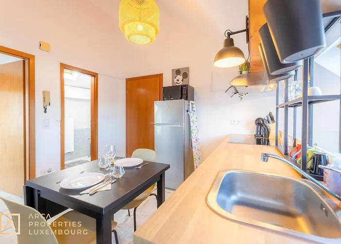Apartman Stylish In Vibrant Bonnevoie *