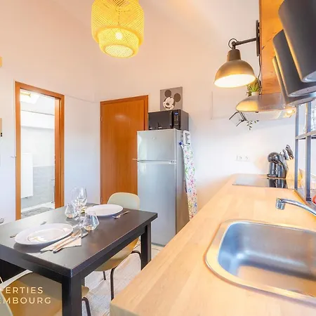 Apartment Stylish In Vibrant Bonnevoie *