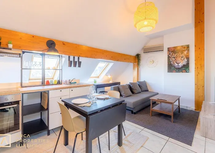 Apartment Stylish In Vibrant Bonnevoie